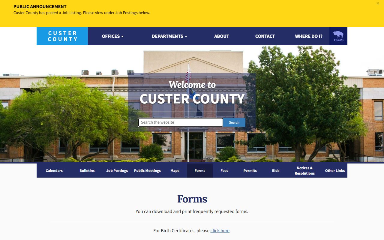 Custer County forms page used alongside court records requests